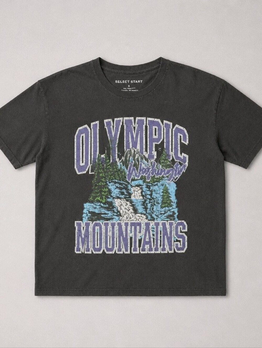 Select Start Dk Gray Tee with Purple & Blue Olympic Mountains Graphic Mens Large